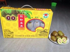 兴隆丰 精品红心猕猴桃 水果